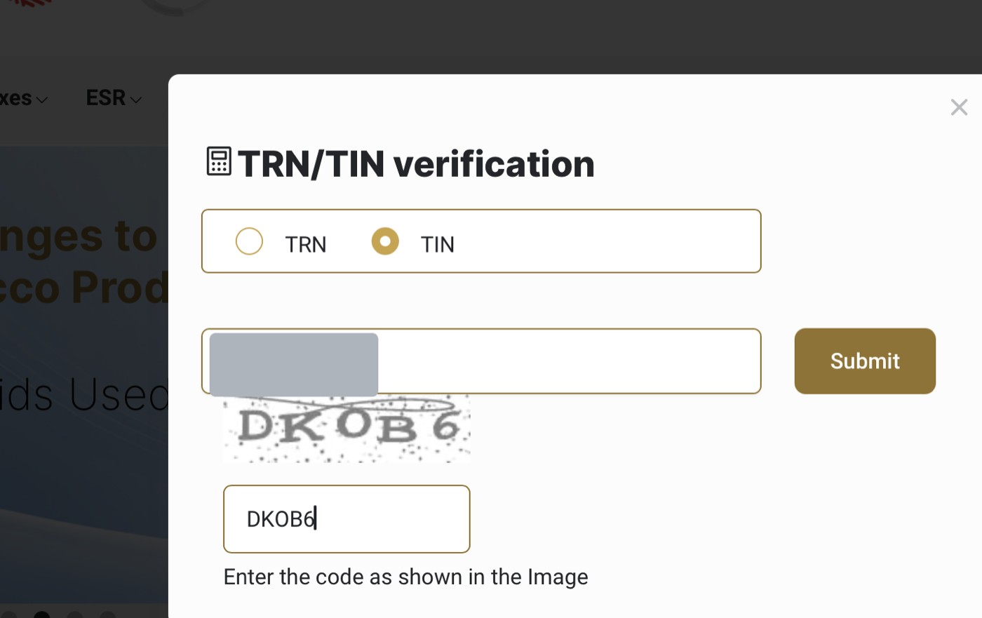 الشكل 23: مربّع حوار التحقّق من TRN/TIN — اختر TIN أو TRN، وأدخِل رقمك ورمز الصورة، ثم انقر على Submit.